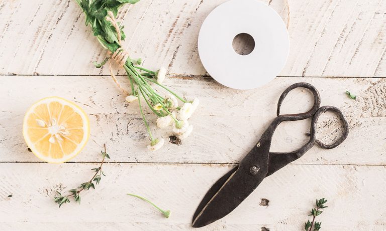 Festive and Cozy Ideas for Thanksgiving Decorations